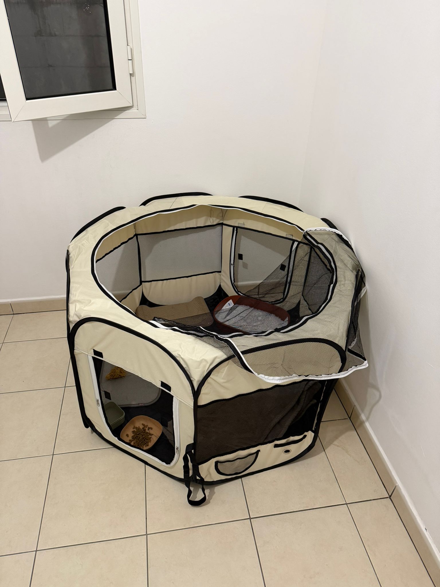 Parc/cage de convalescence pop-up dans le bureau aménagé