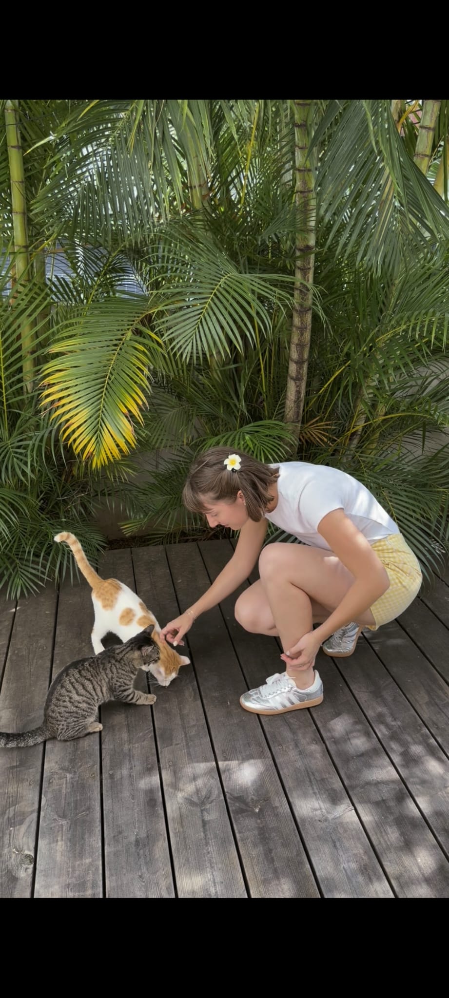 Calypso, avec Bounty et Snickers sur la terrasse