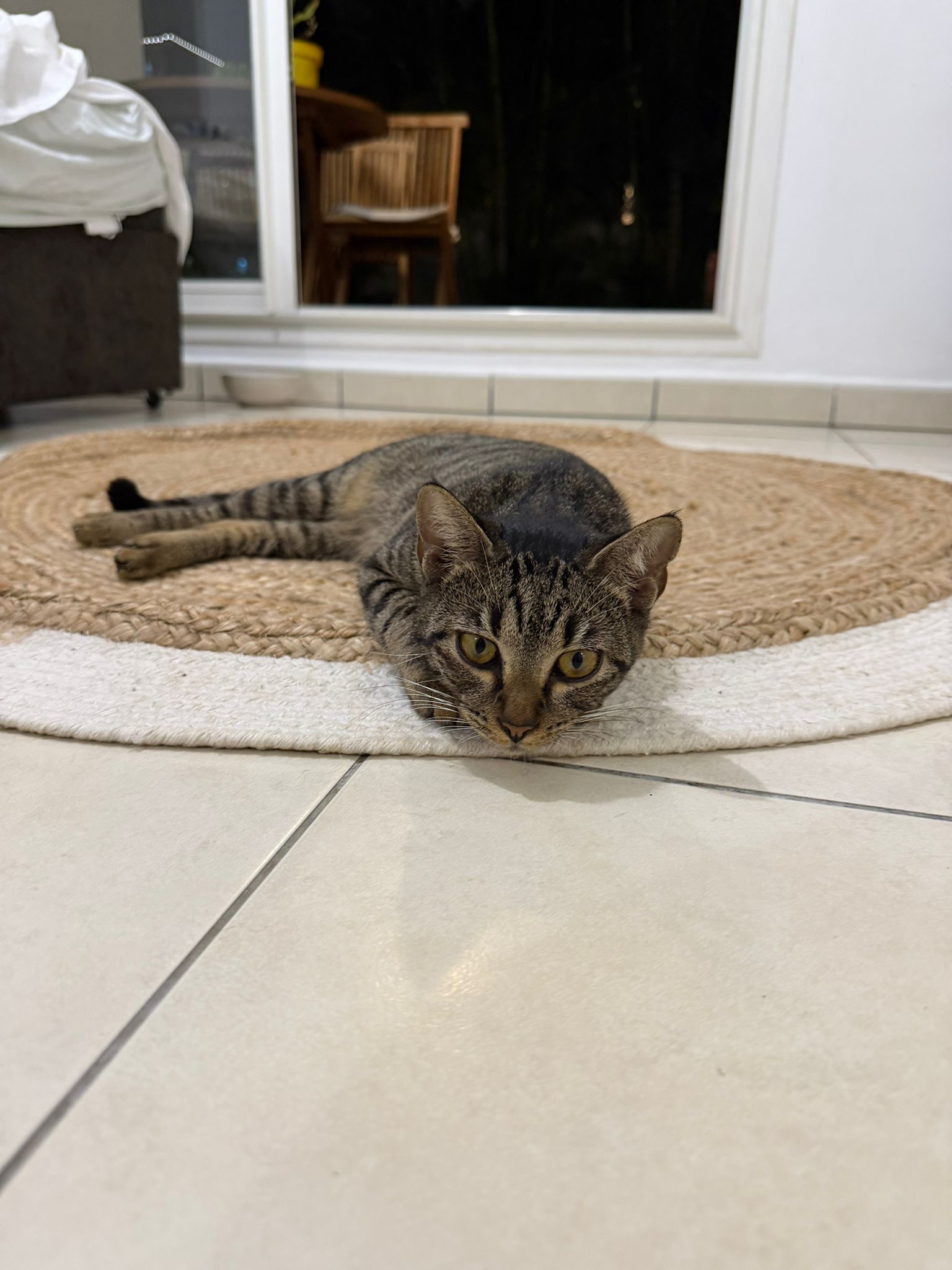 Snickers, la tigrée, allongée sur le tapis en jonc